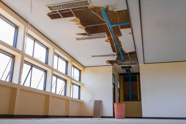 Best Professional water damage repair  in Richmond, CA
