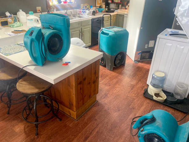 Best Water damage contractors near me  in Richmond, CA