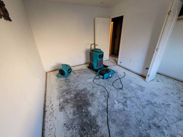 Best Mold removal after water damage  in Richmond, CA