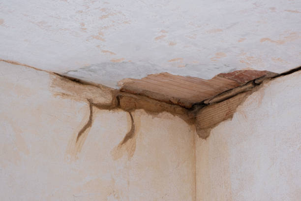 Best Flooded house restoration  in Richmond, CA
