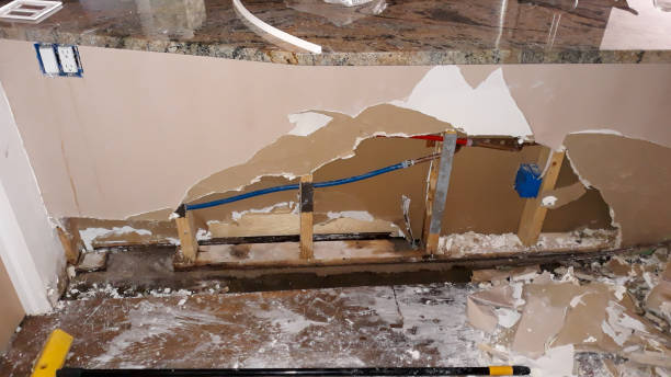 Best Water damage cleanup near me  in Richmond, CA