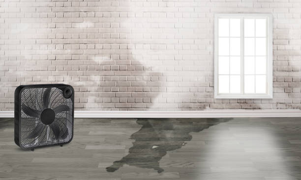 24/7 water damage repair in CA