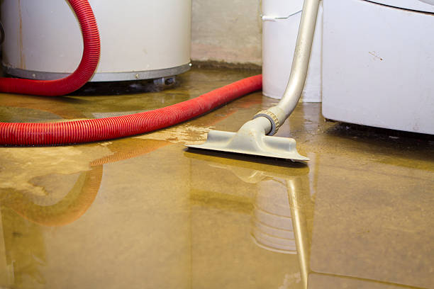 Best Water damage restoration services  in Richmond, CA