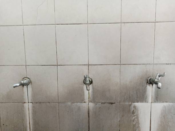 Best Carpet water damage restoration  in Richmond, CA