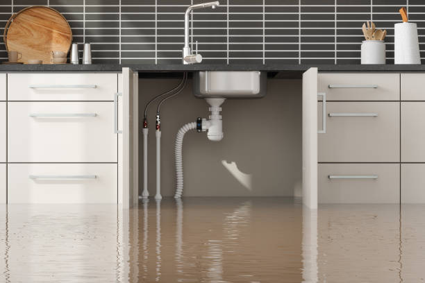 Best 24-hour water damage restoration  in Richmond, CA