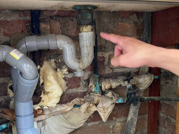 Best Fire Damage Restoration  in Richmond, CA