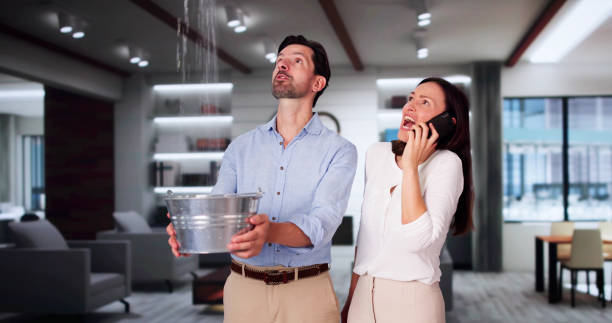 Best Basement water damage restoration  in Richmond, CA