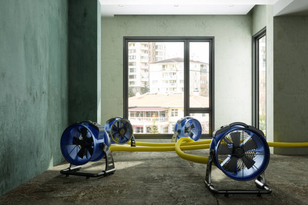 Best Water damage restoration mold remediation  in Richmond, CA